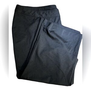 Lane Bryant Petite Stretchy Pants